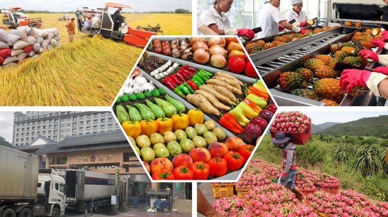Trung Quốc đứng đầu về nhập khẩu rau quả Việt Nam