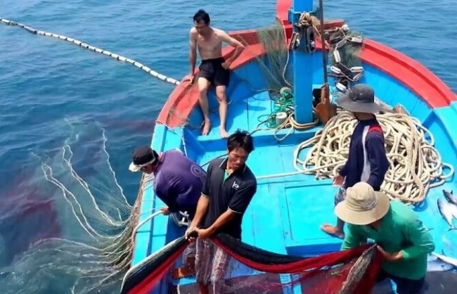 Việt Nam nỗ lực cao nhất để đẩy lùi và chấm dứt khai thác hải sản bất hợp pháp