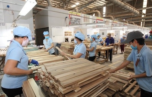 customs sector strives to share the burden with enterprises
