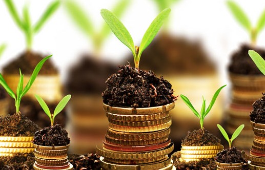 Green finance contributes significantly to sustainable development