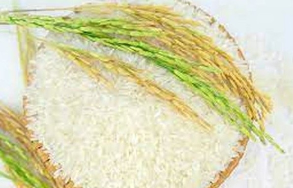 Ngày  22/9:  Giá lúa gạo trong nước giảm tới 1.000 đồng/kg