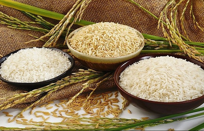 Ngày 23/9: Giá lúa gạo trong nước có xu hướng ổn định