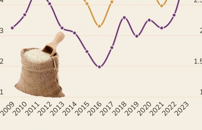 Rice exports hit record level in first 8 months of 2023