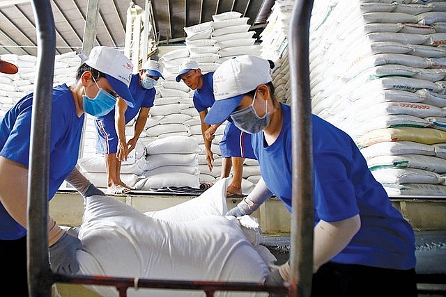 Gạo xuất khẩu của Việt Nam tăng giá trở lại