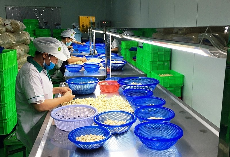 Hàng Việt có nhiều thế mạnh để xuất khẩu sang thị trường Nam Phi