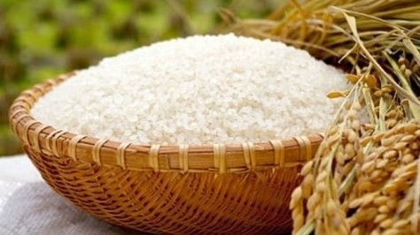Ngày 26/9: Giá lúa gạo trong nước tiếp đà đi ngang, gạo xuất khẩu giảm mạnh