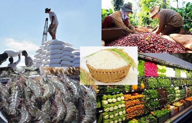 Agro-forestry-fisheries sector posts 22.5% rise in nine-month trade surplus