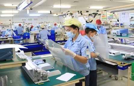 Up to 116,300 enterprises established in nine months: GSO