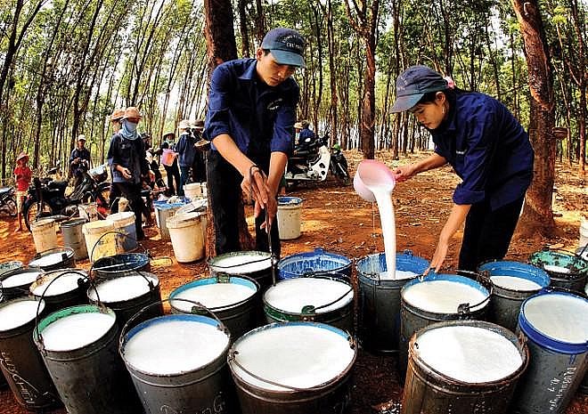 Ngày 2/10: Giá cao su tăng, hồ tiêu ổn định, cà phê giảm ngày đầu tuần