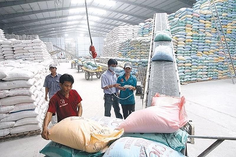 Ngày 3/10: Giá lúa giảm, gạo trong nước và xuất khẩu duy trì đà đi ngang