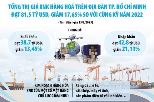 TP. Hồ Chí Minh: Tập trung chống thất thu thuế xuất nhập khẩu