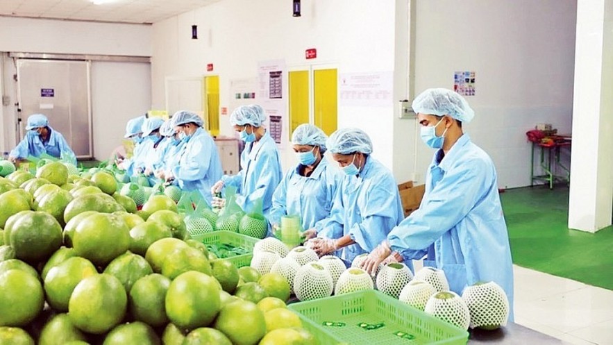 Sản xuất xanh là hướng đi bắt buộc để doanh nghiệp Việt giữ vững thị trường