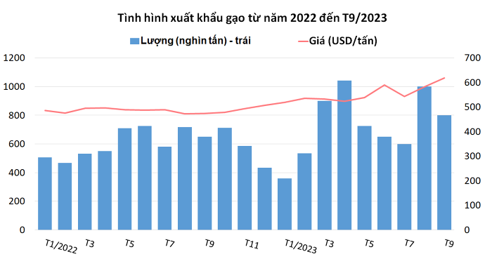 Ngày 10/10:  Giá lúa gạo biến động trái chiều