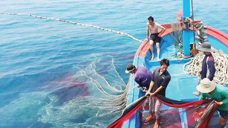 Đoàn EC kiểm tra kết quả gỡ “thẻ vàng” IUU của Việt Nam