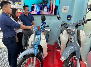 Nhận diện thật - giả hơn 500 sản phẩm "ăn khách" được bảo hộ tại Việt Nam