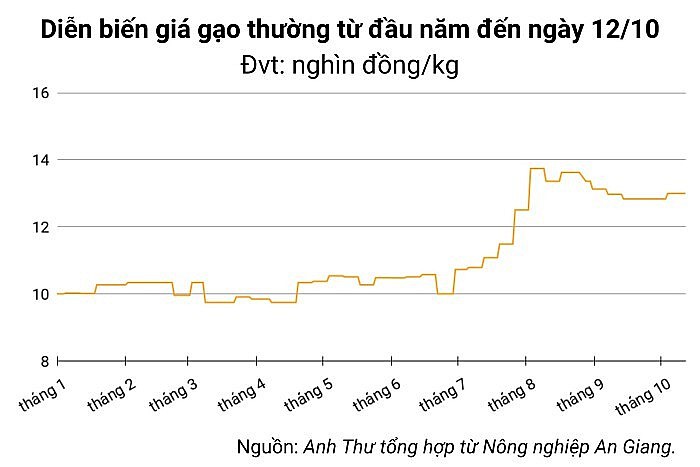 Ngày 13/10: Giá lúa gạo trong nước tăng nhẹ, gạo xuất khẩu Việt Nam duy trì vị trí cao nhất thế giới