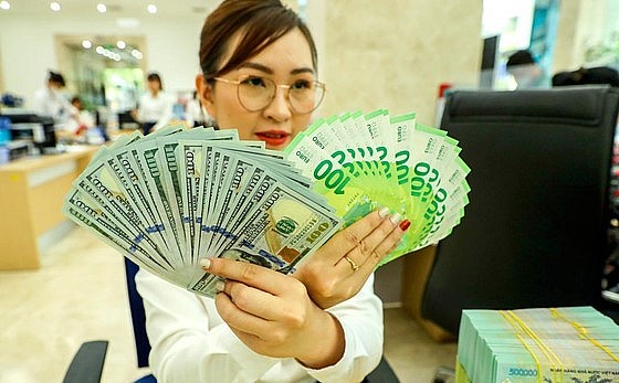 Tỷ giá hôm nay (14/10): Đồng USD chạm mức cao nhất trong trong một tuần