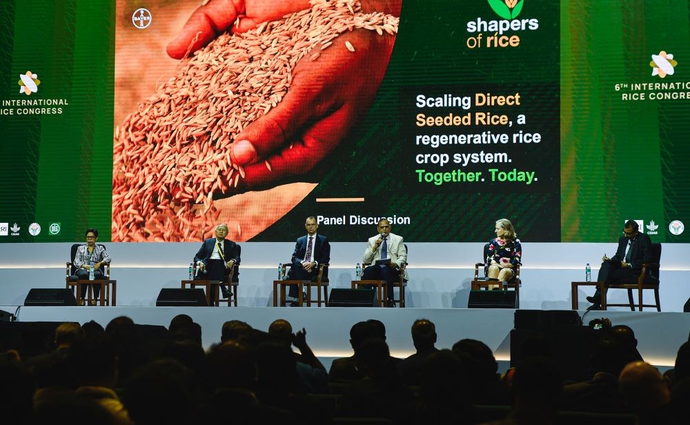 Khai mạc Đại hội Lúa gạo quốc tế 2023
