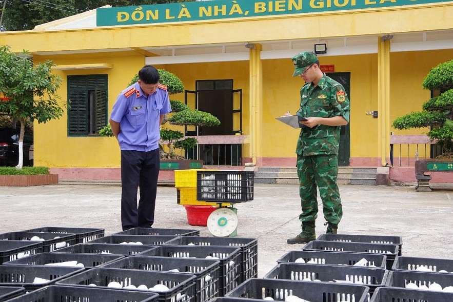 Gian nan cuộc chiến chống nhập lậu con giống, gia cầm vào nội địa