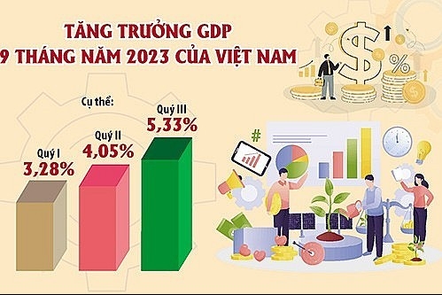 Kinh tế Việt Nam đang có sự phục hồi đáng kể