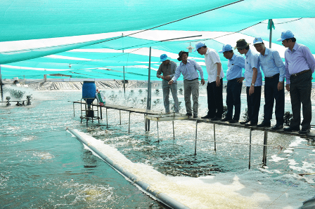 Khoa học công nghệ giúp thủy sản tăng trưởng ổn định 4,5-5%