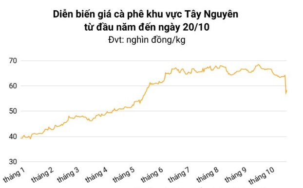 Ngày 20/10: Giá cà phê tăng, hồ tiêu vượt ngưỡng 70.500 đồng/kg, cao su giảm