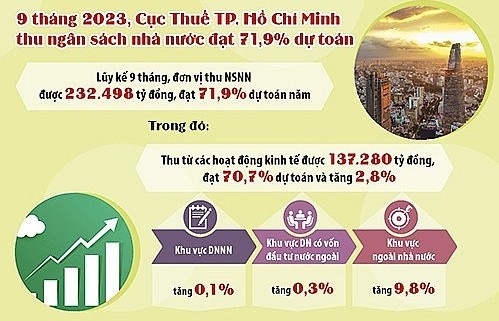 Cục Thuế TP. Hồ Chí Minh: Chủ động hỗ trợ doanh nghiệp trong bối cảnh số thu suy giảm