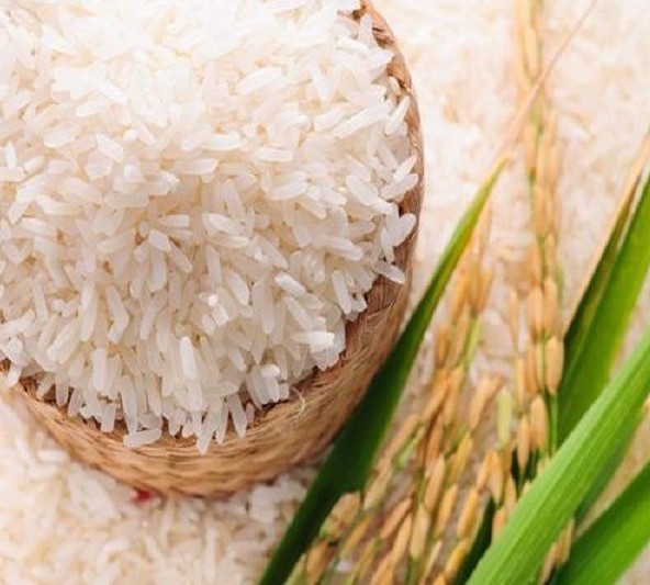 Ngày 21/10: Giá lúa gạo trong nước đồng loạt tăng