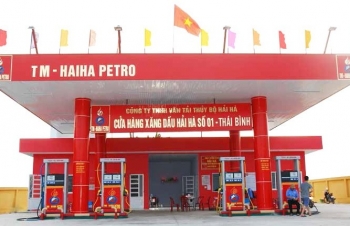 Thái Bình: Công ty TNHH vận tải thủy bộ Hải Hà tiếp tục nợ thuế "khủng"