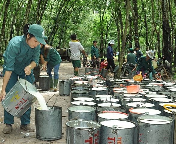 Ngày 27/10: Giá cao su tăng, hồ tiêu và cà phê giảm