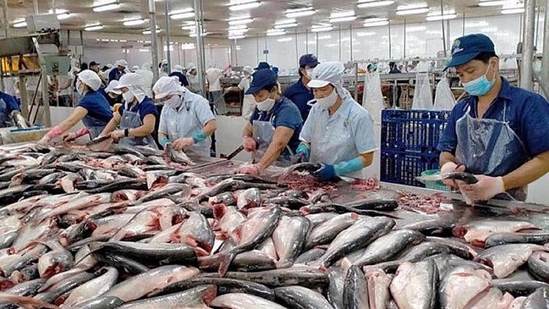 "Bức tranh" xuất khẩu thuỷ sản dần phục hồi