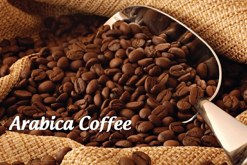 Ngày 1/11: Giá cà phê Arabica tăng, cao su biến động trái chiều, hồ tiêu giảm