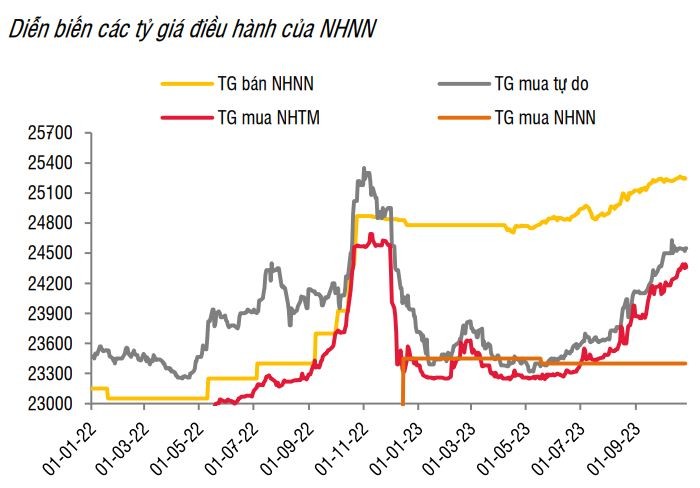 Tỷ giá USD/VND có xu hướng ổn định hơn