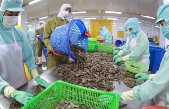 Agro-forestry-fisheries sector enjoys trade surplus of 9.3 billion USD