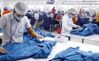 Number of newly-established firms up 21.7% in October
