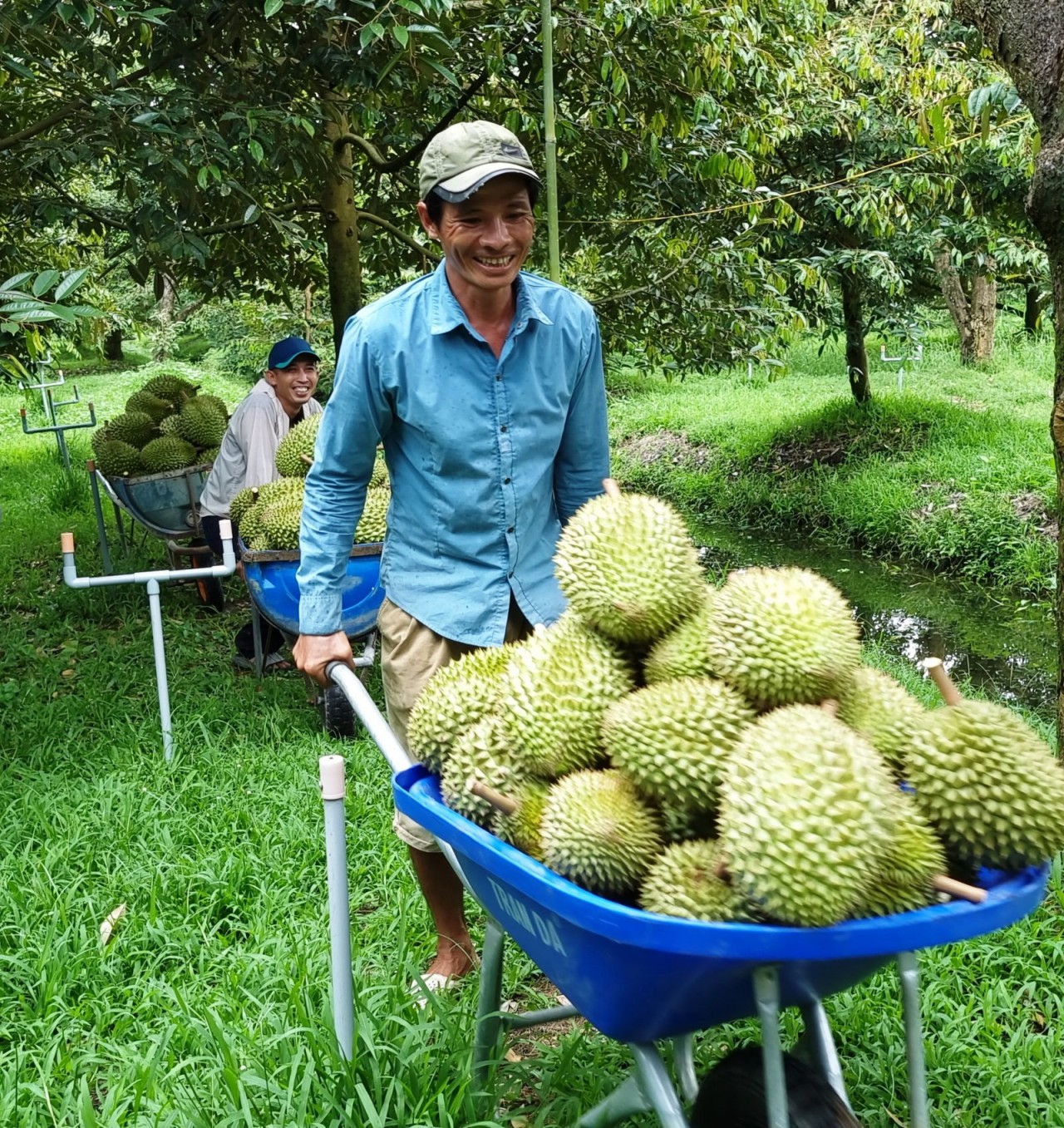 Xuất khẩu nông lâm thủy sản nỗ lực cán đích trong 2 tháng cuối năm