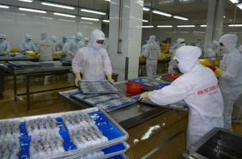 Hoa Kỳ điều tra chống trợ cấp với tôm nước ấm đông lạnh nhập khẩu từ Việt Nam