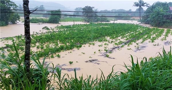 Thiên tai làm thiệt hại hơn 6.800 tỷ đồng trong 10 tháng