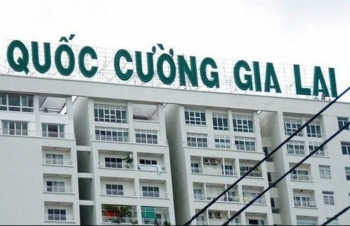 Công ty cổ phần Quốc Cường Gia Lai bị truy thu hơn 556 triệu đồng tiền thuế