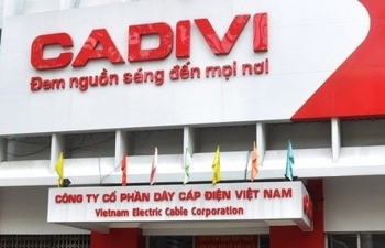 Khai sai thuế, Dây cáp điện Việt Nam (CAV) bị xử phạt và truy thu hơn 1,7 tỷ đồng
