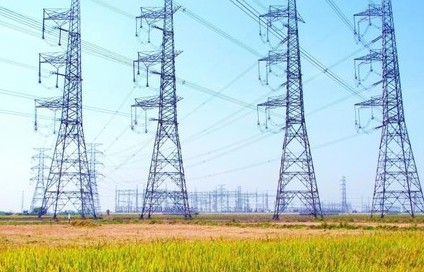 Công ty cổ phần Tư vấn xây dựng Điện 2 bị phạt và truy thu hơn 2 tỷ đồng tiền thuế