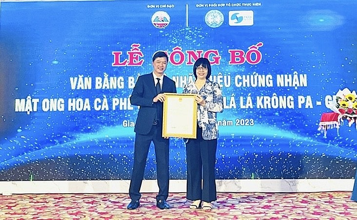 Gia Lai: Mật ong hoa cà phê và thuốc lá lá Krông Pa được bảo hộ nhãn hiệu