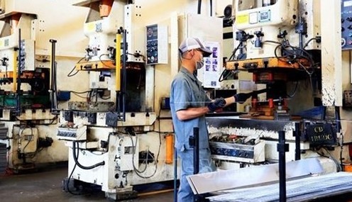 Domestic investors outpace foreign peers in southeastern region
