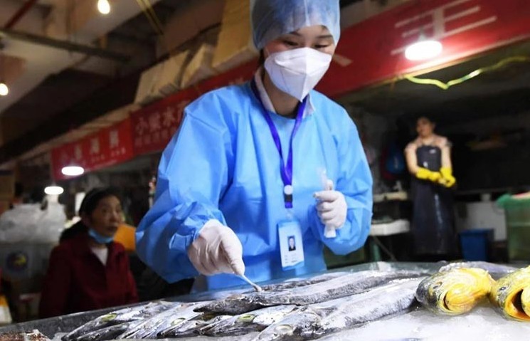 Xuất khẩu thủy sản sang thị trường Trung Quốc có cơ hội phục hồi