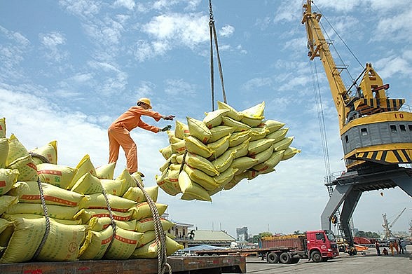 Ngày 24/11: Giá gạo xuất khẩu quay đầu giảm sau khi vừa lập đỉnh