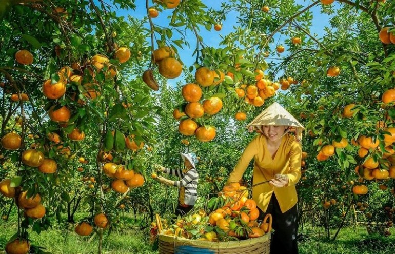 Cơ hội tăng trưởng cho ngành rau, hoa, quả Việt Nam