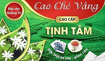 Đặc sản chè vằng Quảng Trị được bảo hộ chỉ dẫn địa lý