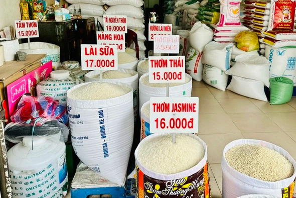 Ngày 28/11: Giá lúa ổn định, giá gạo bật tăng 200 đồng/kg