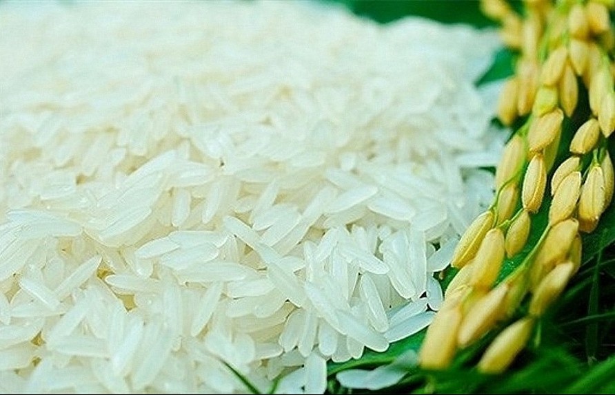 Ngày 28/11: Giá lúa giảm 100 đồng, gạo tiếp đà tăng