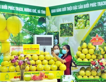 Hà Tĩnh: Đến năm 2030, chỉ số đổi mới sáng tạo thuộc nhóm 20 địa phương dẫn đầu cả nước